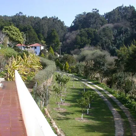 Terrazoia *