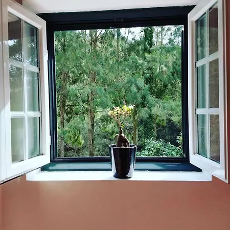 Terrazoia Bed & Breakfast Azoia (Sintra)